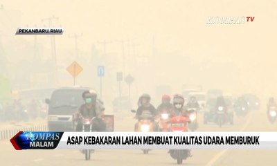 Belum Padam, Dampak Terkini Karhutlah Riau