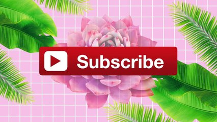 VLOG - NA FACULDADE COM AMIGOS ♥ + DESFILE DIA 7 DE SETEMBRO