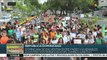 teleSUR Noticias: Marchan en defensa del medio ambiente en Dominicana