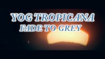 Yog Tropicana - Fade to grey