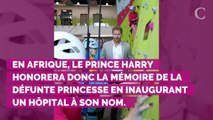Royal tour en Afrique : ce moment du voyage où le prince Harry risque d'être submergé par l'émotion