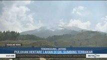Puluhan Hektare Lahan di Gunung Sumbing Terbakar