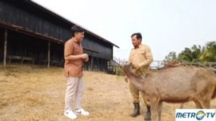 Menyapa Budaya di Bumi Paser (2)