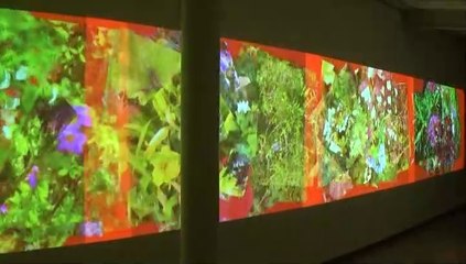 "Les Naturages" dans l'exposition  "Cosmic Flowers and more", Thônes, 2018