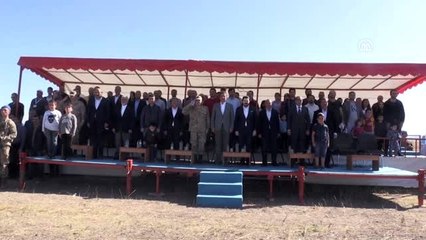 Safkan Arap atlarının katıldığı yarışlar nefes kesti