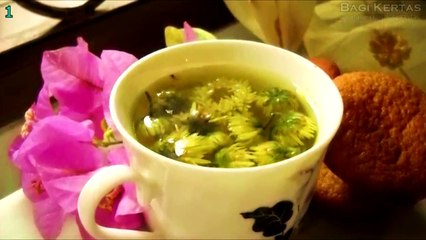 5 Tanaman Berbahaya Bagi Hewan Peliharaan