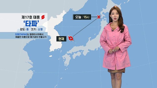 [날씨] 태풍, 세력 크게 약화...빠르게 동해 진입 / YTN
