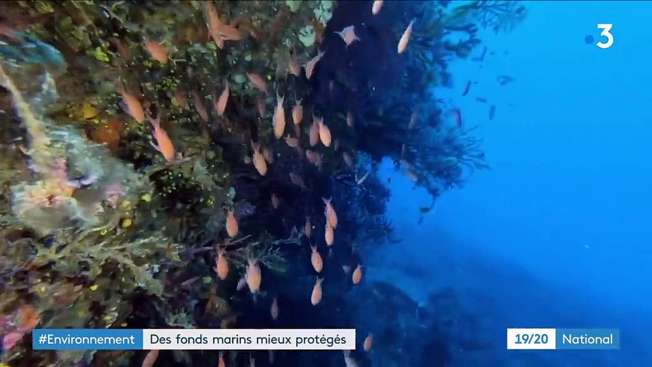 Environnement : des fonds marins mieux protégés en Corse
