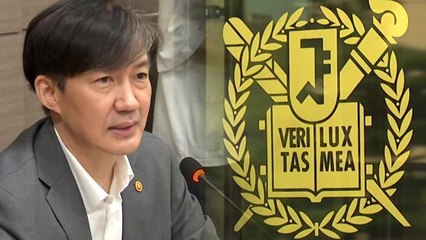 조국 딸 서울대 인턴증명서 의혹...진실은? / YTN