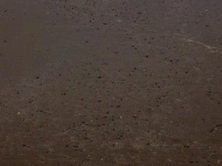 Riverdance ferry and helicopter