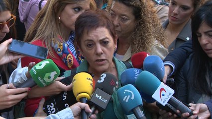 Bildu cree que la detención de los CDR es "un montaje policial"