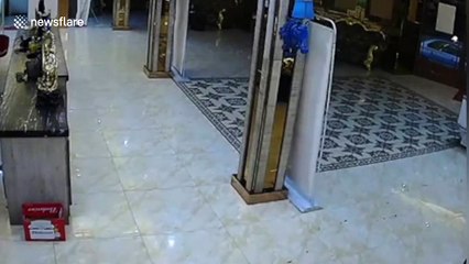 Customers flee after wild boar chrages into Chinese karaoke bar