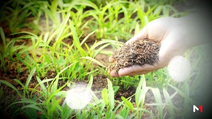يوميات الفلاح - 26/09/2019