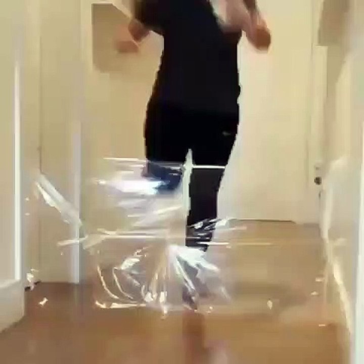 Elle fait preuve d'une grande ingéniosité pour échapper à ses chiens... Ils sont vraiment – vraiment – adorables !