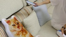 pet hair remover