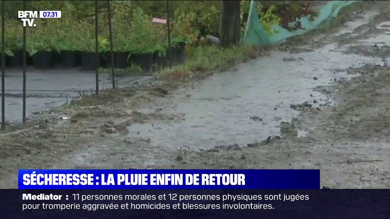 La pluie fait son retour, mais il en faudra bien plus pour remédier à la sécheresse