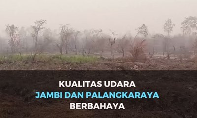 Kualitas Udara Jambi dan Palangkaraya Berbahaya