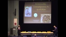 Arachnides : araignées, acariens, compagnons du quotidien