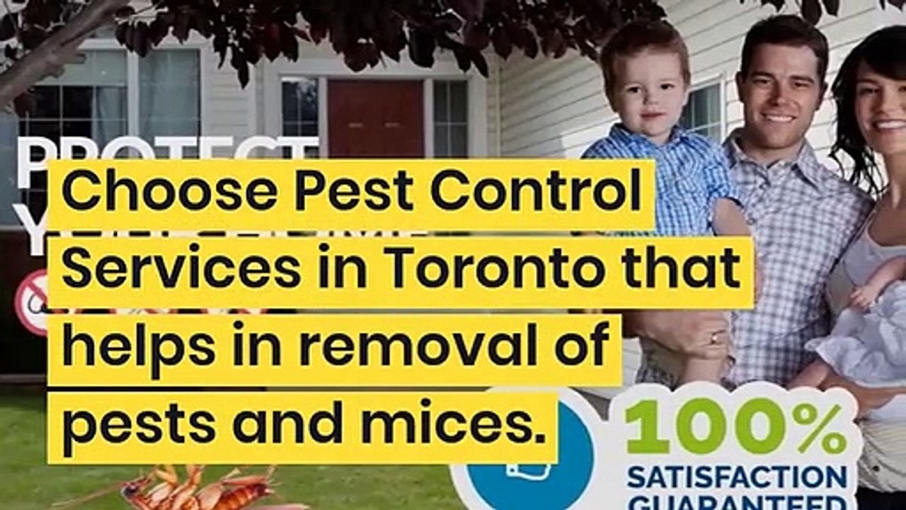 Pest Control Toronto Services | PestRGone