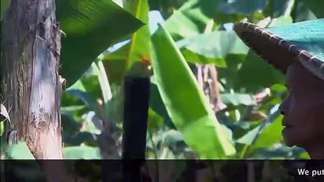 Colored diamonds of Borneo by Patrick Voillot (Gemstones Documentary)