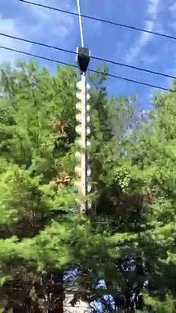 Hélicoptère qui taille des arbres avec une géante tronçonneuse - Vidéo  Dailymotion