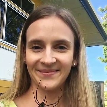 Une Australienne se relaxe en faisant grimper… des araignées sur son visage : « J’aime passer du temps avec elles » - VIDEO