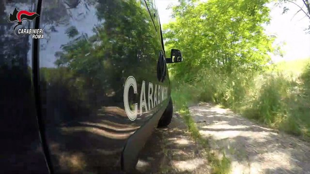 Ostia, controlli dei carabinieri. Sequestrati 9 kg di marijuana