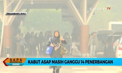Kabut Asap Ganggu 14 Penerbangan di Pekanbaru, Penumpang Beralih ke Jasa Travel