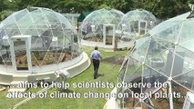 Panama project simulates effect of climate change on tropical plants