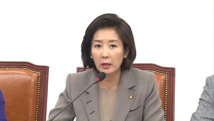 나경원 "원정출산·이중국적 아냐"...與 공세 지속 / YTN