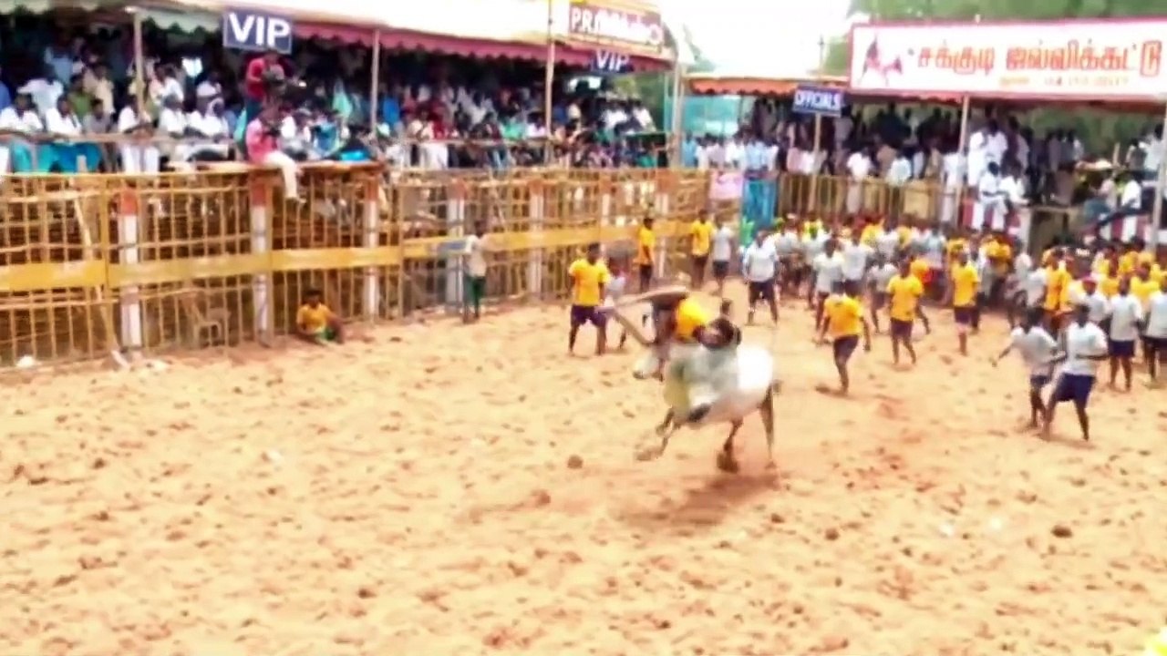 Kaatrai Irukintrai ¦ Jai ¦ Aravaazhi ¦ Bagath Prasanna ¦ Music Is Future