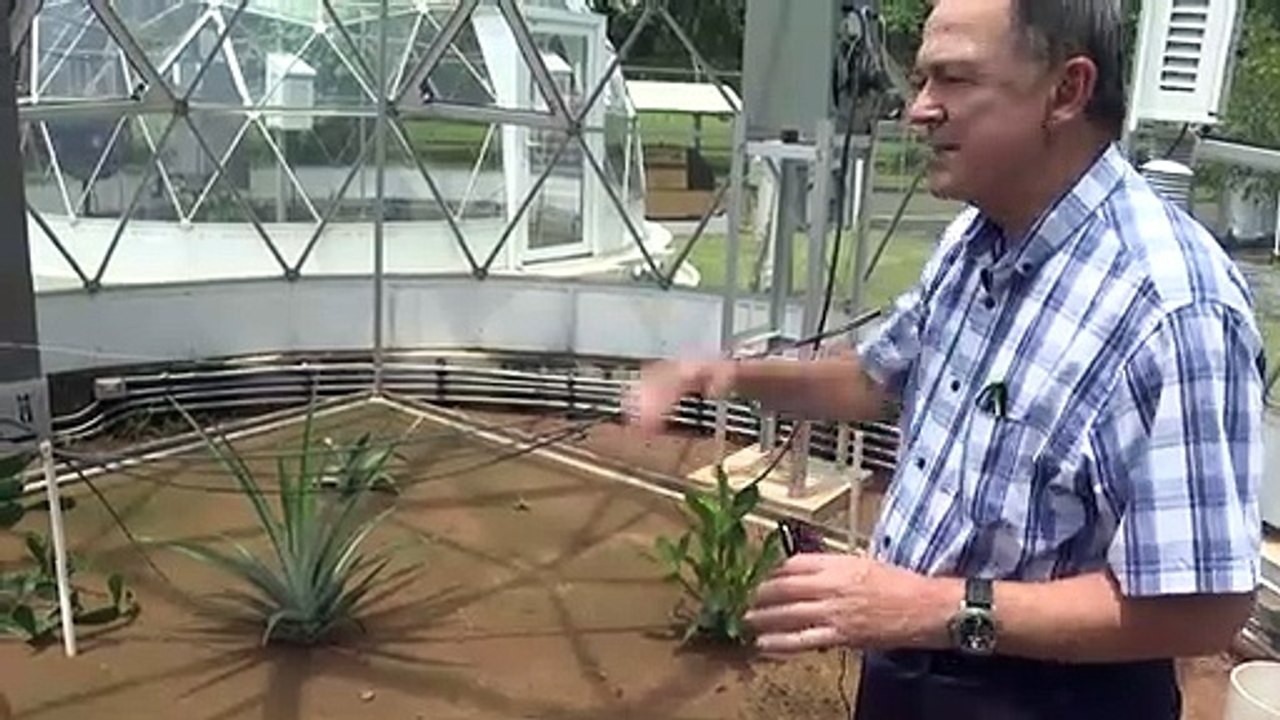 In Panama: Deutscher Forscher simuliert Erderwärmung