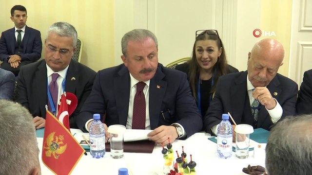 - TBMM Başkanı Şentop, Karadağ Meclis Başkanı Brajovic ile görüştü