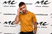 Liam Payne jokes Louis Tomlinson was a 'diva'