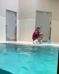Magnifique à voir absolument ! Une loutre effectue un saut impressionnant hors de l'eau sous le regard ahuri des visiteurs...