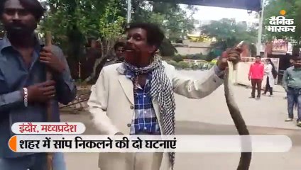 शहर में सांप निकलने की दो घटनाएं