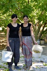 Kariyerlerinden vazgeçen iki kız kardeş ceviz üreticisi oldu!