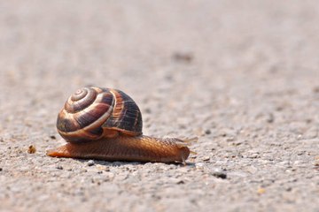 5 choses surprenantes qui peuvent ralentir votre métabolisme