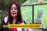 Miraflores: mujer agrede a gatos y a voluntario que los alimentaba