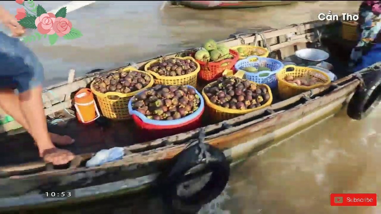In the Southern Vietnam: Mekong River Delta or Southwest