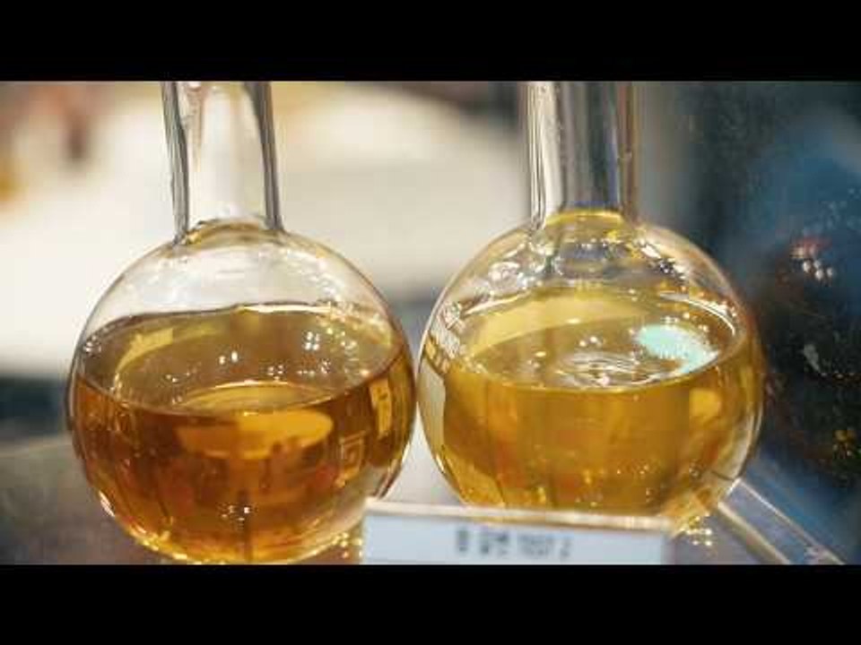 ICPI WEEK 2019 - KOREA PHARM&BIO, CI KOREA 현장 스케치