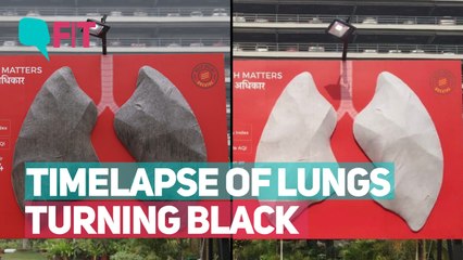 Watch: Timelapse of Delhi Smog Turning Lungs Black in 10 Days!