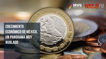 Crecimiento económico de México, un panorama muy nublado: Pedro Tello