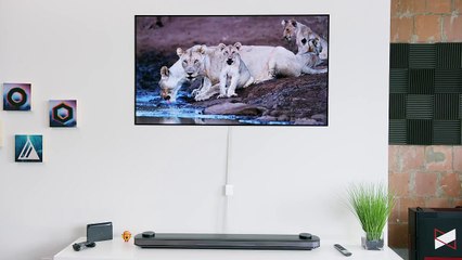 The State of Bezels! (2018)