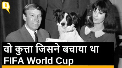 Pickles नाम का वो कुत्ता जिसने बचाया था FIFA World Cup और इंग्लैंड की इज्जत