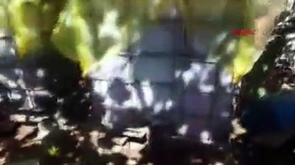 Kırklareli'de 1597 litre sahte içki ele geçirildi