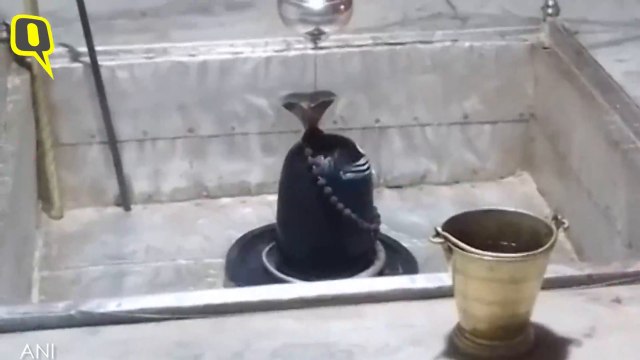 3107 TEJ PRATAP VISIT SHIV TEMPLE VIDEO