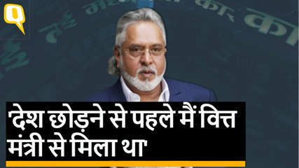 विजय माल्या ने कहा- देश छोड़ने से पहले मैं वित्त मंत्री से मिला था