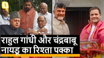 चंद्रबाबू नायडू की Rahul और पवार से मुलाकात 2019 Election के लिए बहुत कुछ कहती है