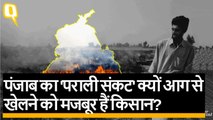 Stubble Burn: आखिर Punjab-Haryana के किसान पराली की आग से क्यों ‘खेलते’ हैं?